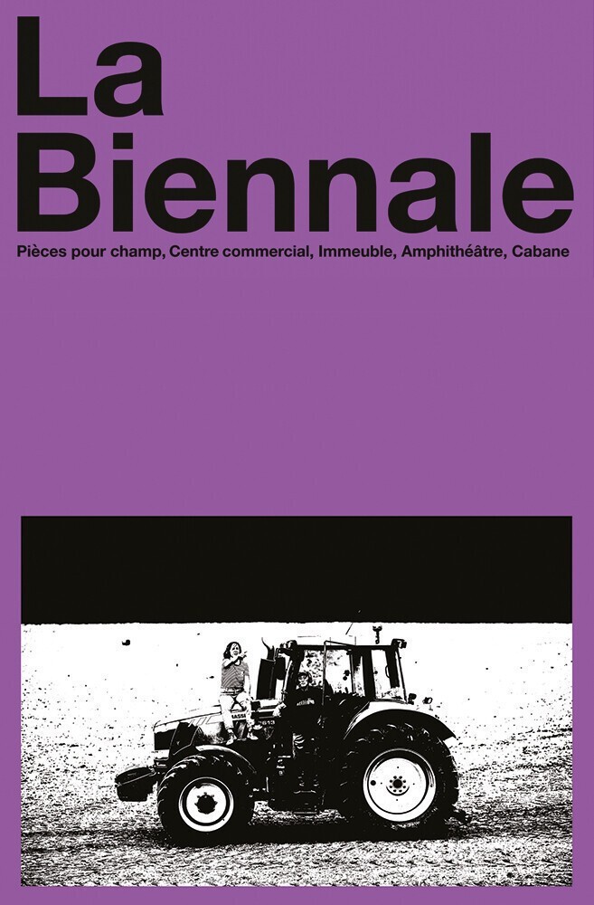 alouettes-piece-de-champ